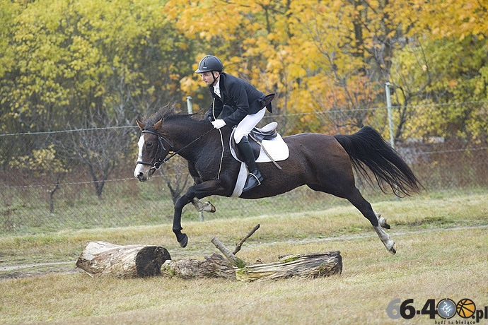 23/46 Zdroisko: Hubertus
