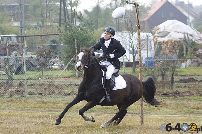 24/46 Zdroisko: Hubertus