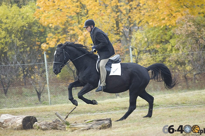26/46 Zdroisko: Hubertus