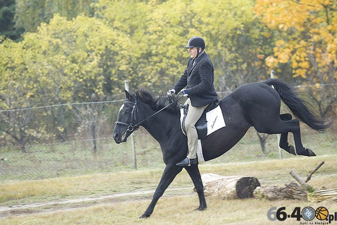 27/46 Zdroisko: Hubertus
