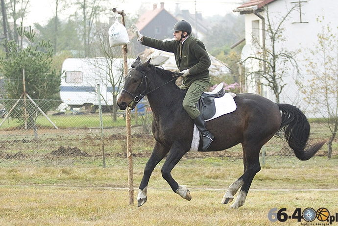 28/46 Zdroisko: Hubertus