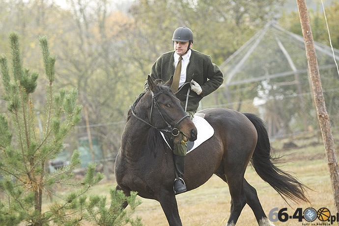 29/46 Zdroisko: Hubertus