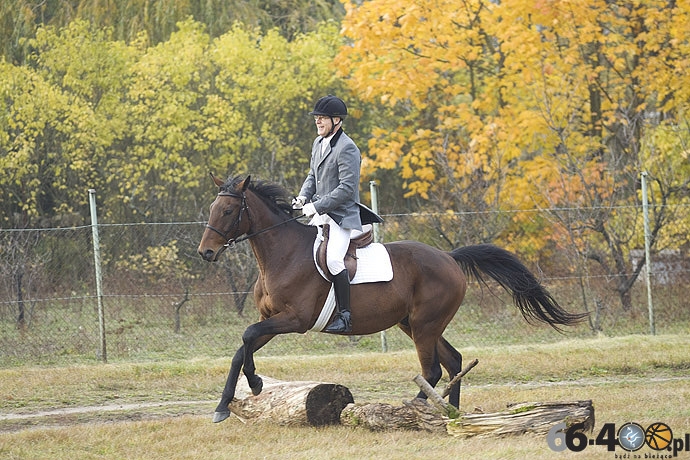 31/46 Zdroisko: Hubertus