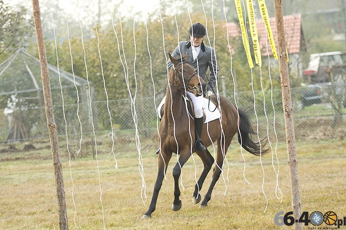 33/46 Zdroisko: Hubertus