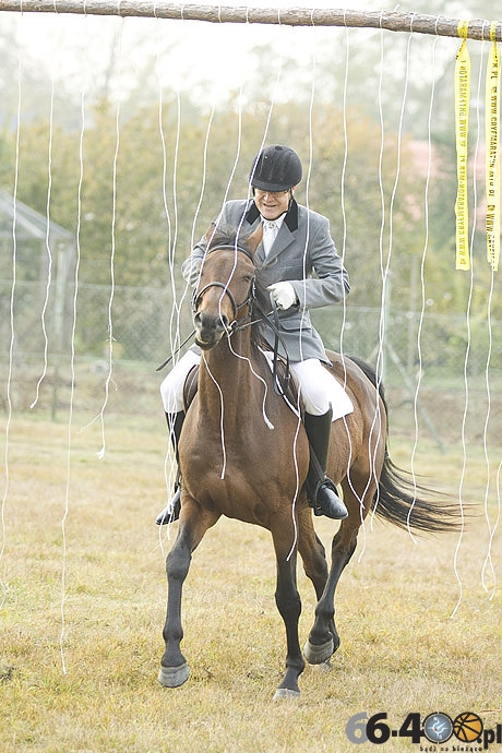 34/46 Zdroisko: Hubertus