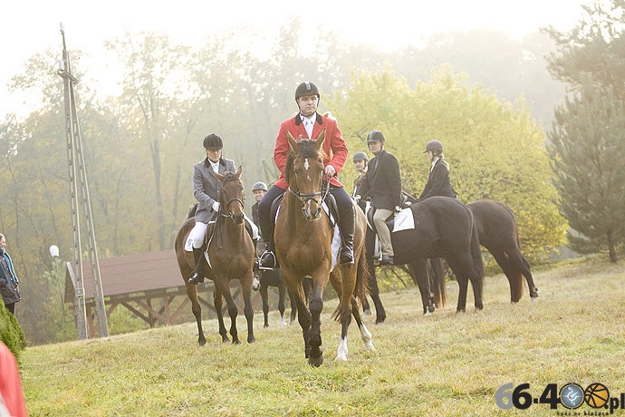 35/46 Zdroisko: Hubertus