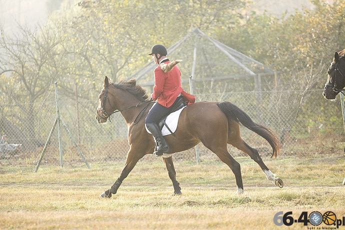 36/46 Zdroisko: Hubertus