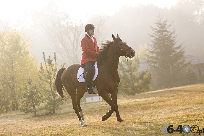 37/46 Zdroisko: Hubertus