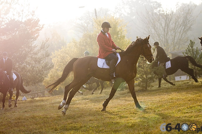 38/46 Zdroisko: Hubertus