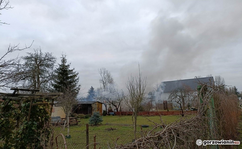 5/6 Pożar altany na działkach na Zawarciu