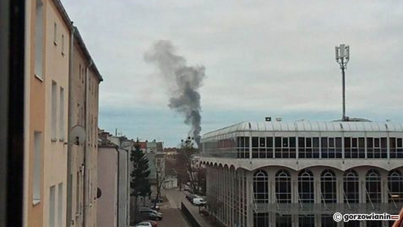 6/6 Pożar altany na działkach na Zawarciu