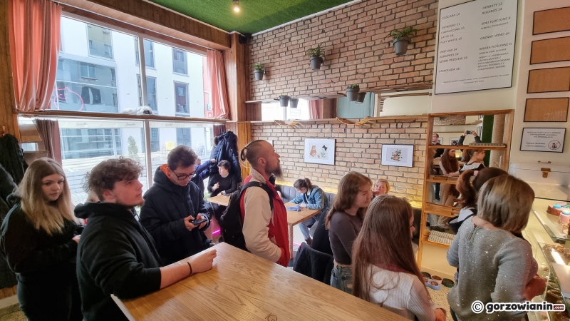 5/17 Otwarcie kociej kawiarni w Gorzowie