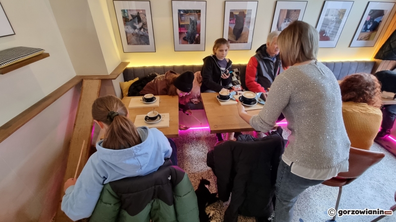 12/17 Otwarcie kociej kawiarni w Gorzowie