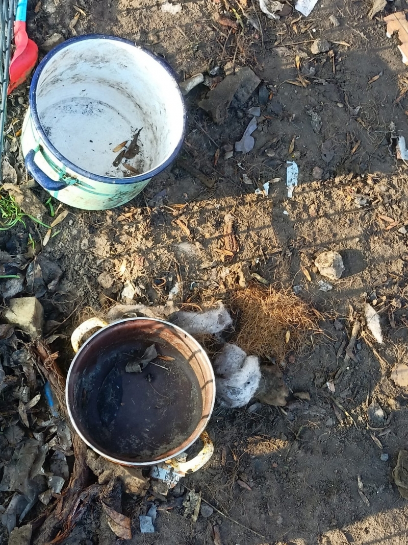 4/10 Łatek żył w skandalicznych warunkach