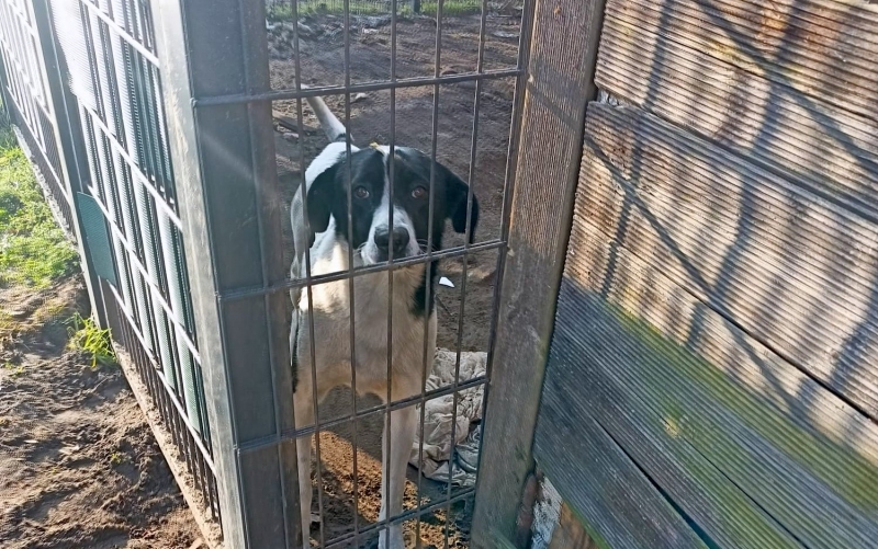 9/10 Łatek żył w skandalicznych warunkach