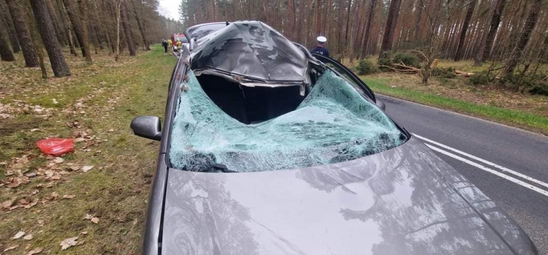 6/6 Volkswagen zderzył się z jeleniem