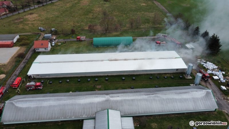 4/5 Pożar na terenie fermy drobiu w Lubiszynie