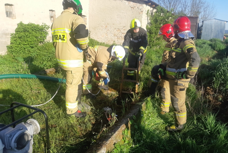 2/4 Źrebak wpadł do szamba. Uratowali go strażacy 