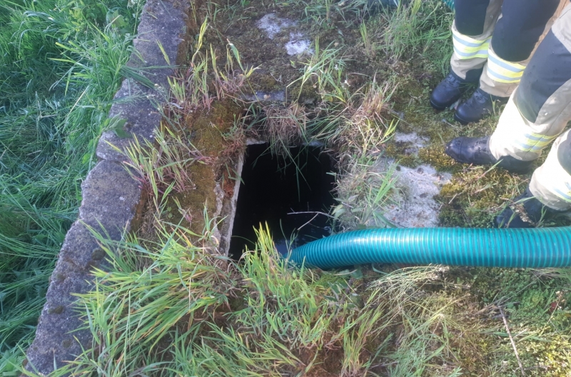 4/4 Źrebak wpadł do szamba. Uratowali go strażacy 