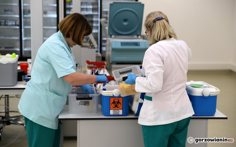 5/18 Nowe laboratorium Diagnostyki przy Targowej w Gorzowie już działa