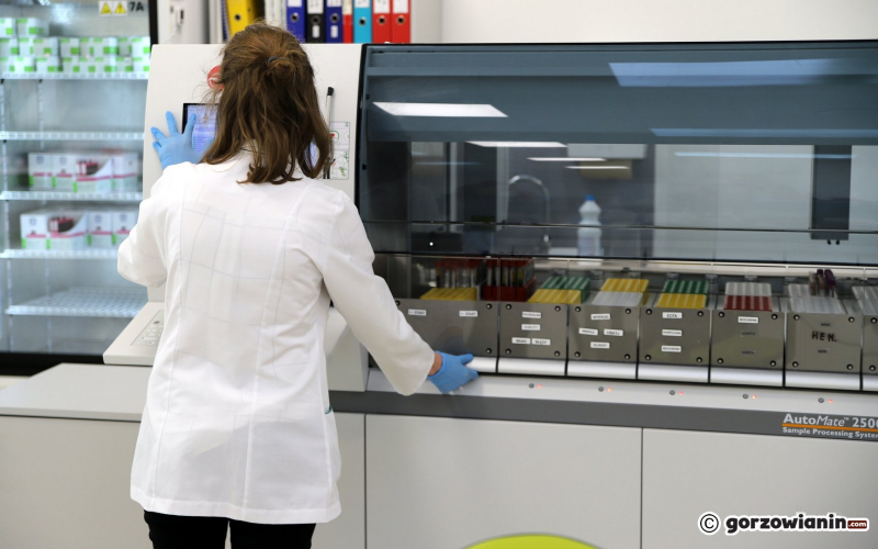 10/18 Nowe laboratorium Diagnostyki przy Targowej w Gorzowie już działa