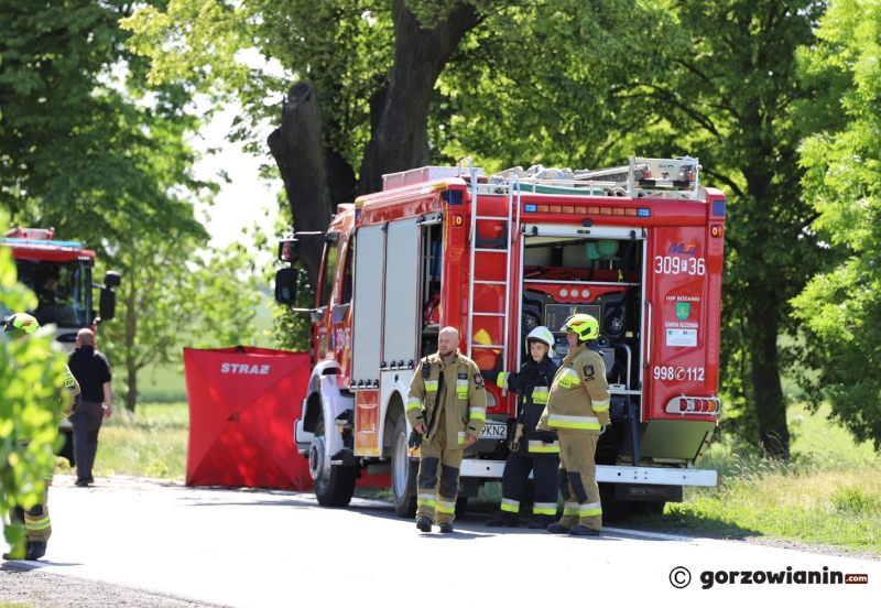 5/6 Śmiertelny wypadek na DK22 pomiędzy Gorzowe i Różankami