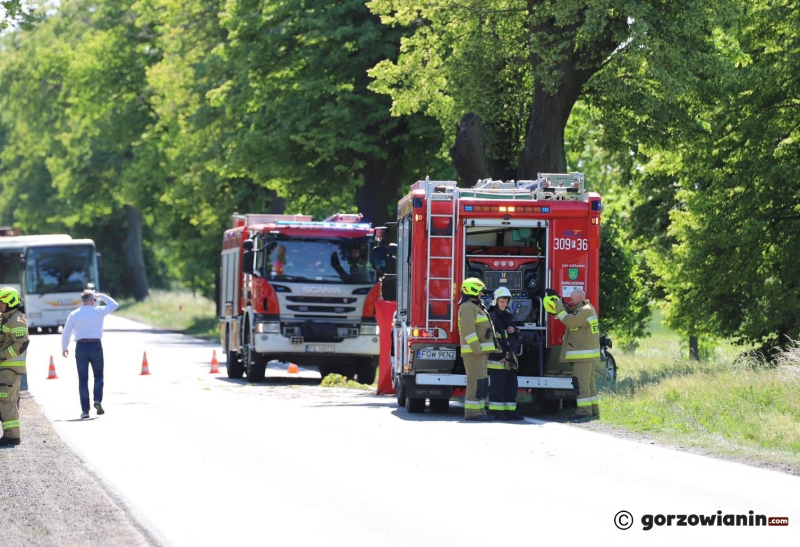 6/6 Śmiertelny wypadek na DK22 pomiędzy Gorzowe i Różankami