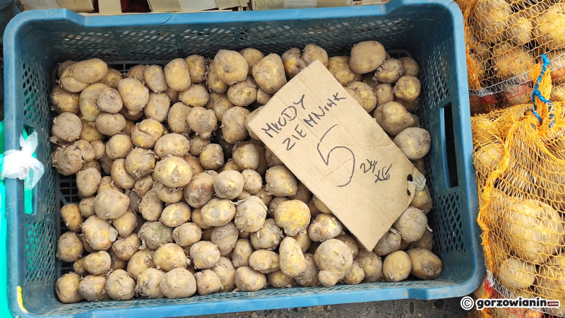 6/24 Piątek na ryneczku przy Jerzego w Gorzowie