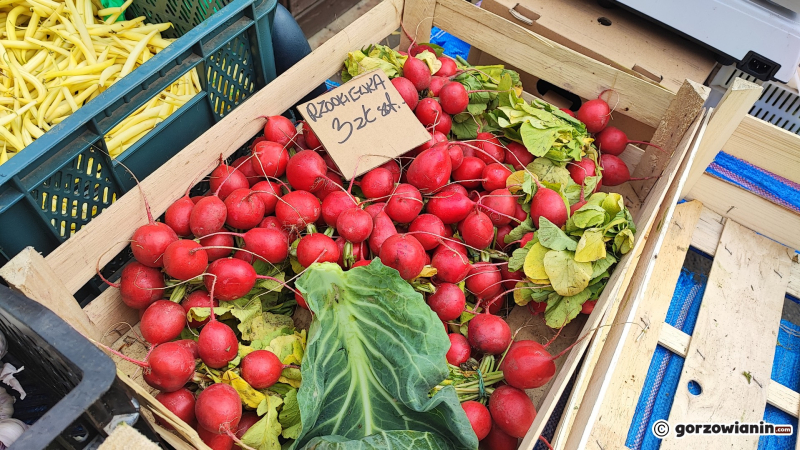 11/24 Piątek na ryneczku przy Jerzego w Gorzowie
