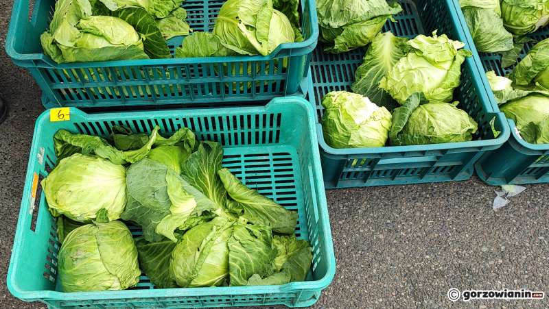 15/24 Piątek na ryneczku przy Jerzego w Gorzowie