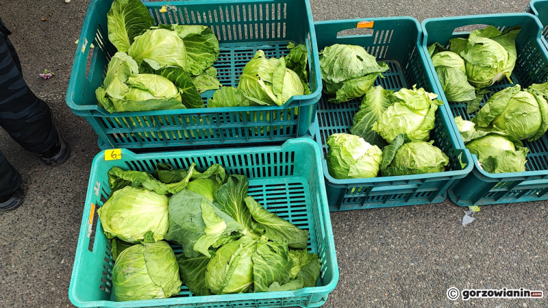 16/24 Piątek na ryneczku przy Jerzego w Gorzowie