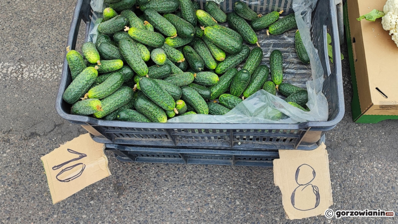 17/24 Piątek na ryneczku przy Jerzego w Gorzowie