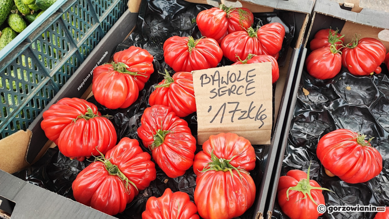22/24 Piątek na ryneczku przy Jerzego w Gorzowie