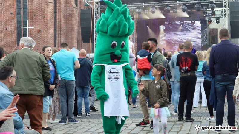 11/15 Tłumy gorzowian na koncercie Natalii Przybysz