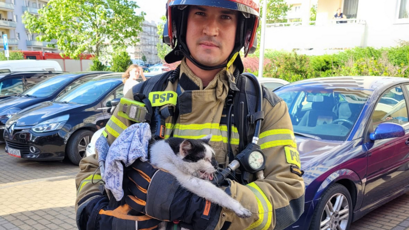 5/9 Strażacy uratowali kota z pożaru mieszkania przy ul. Obrońców Pokoju