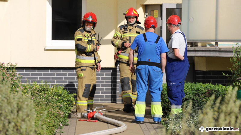 7/9 Strażacy uratowali kota z pożaru mieszkania przy ul. Obrońców Pokoju