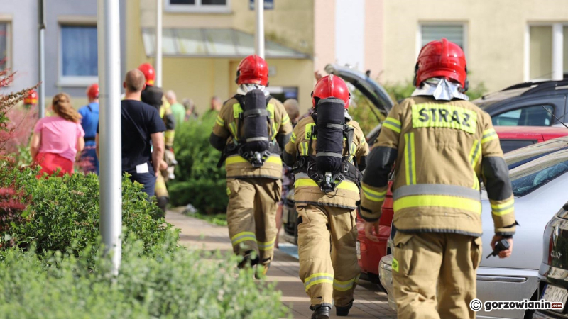 8/9 Strażacy uratowali kota z pożaru mieszkania przy ul. Obrońców Pokoju