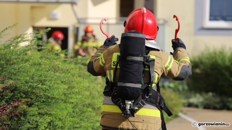 9/9 Strażacy uratowali kota z pożaru mieszkania przy ul. Obrońców Pokoju