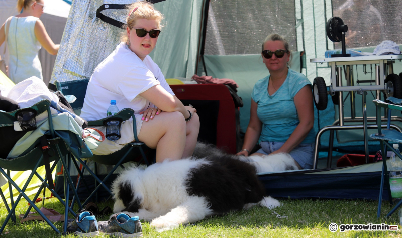 6/25 Międzynarodowa Wystawa Psów Rasowych w Gorzowie 2023