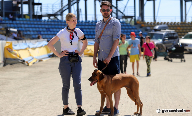 19/25 Międzynarodowa Wystawa Psów Rasowych w Gorzowie 2023