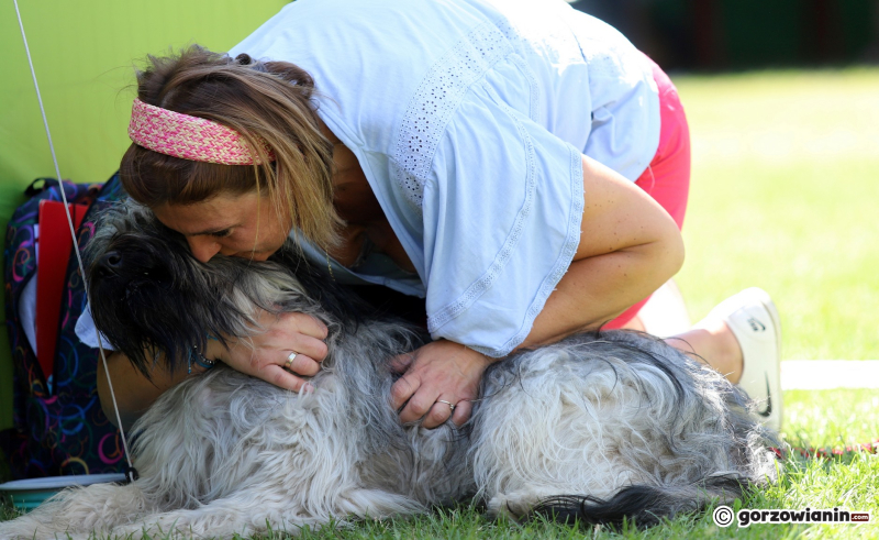 20/25 Międzynarodowa Wystawa Psów Rasowych w Gorzowie 2023