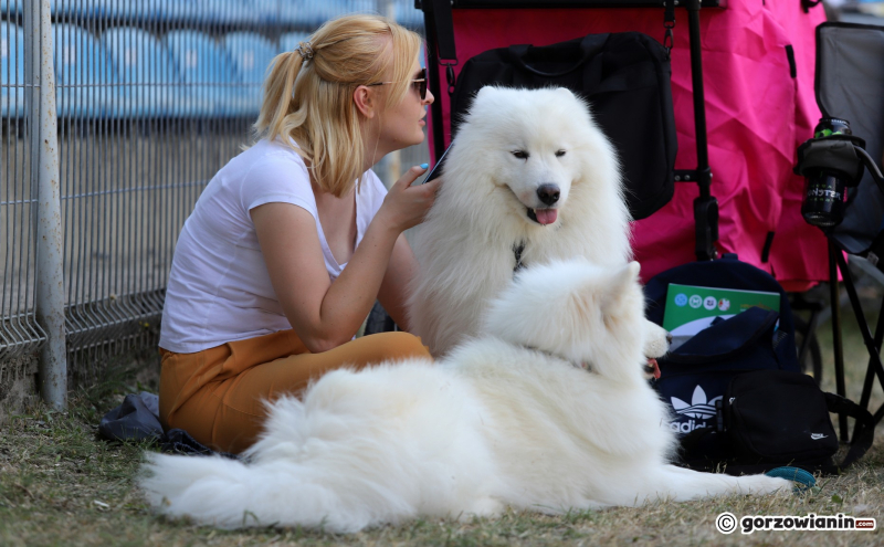 25/25 Międzynarodowa Wystawa Psów Rasowych w Gorzowie 2023