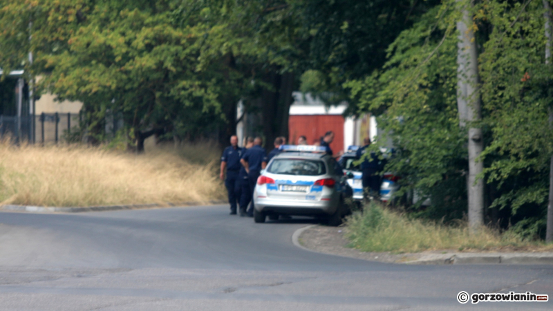 6/7 Zabójstwo 78-letniej kobiety przy ul. Broniewskiego w Gorzowie. Trwają poszukiwania sprawcy