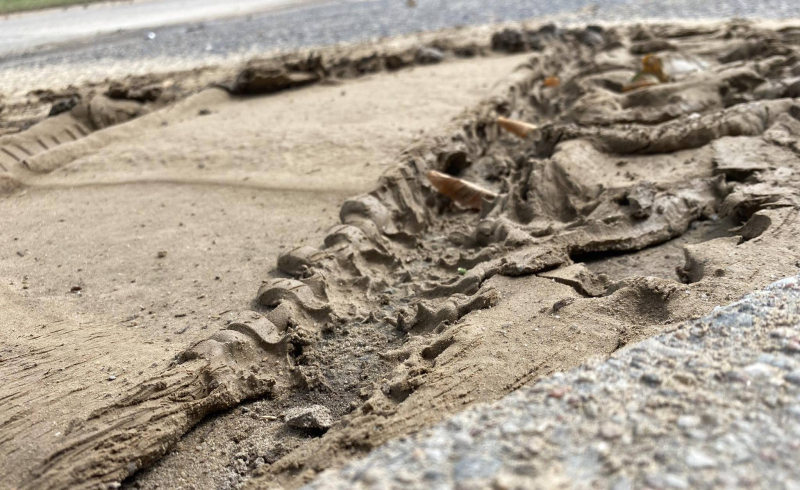 3/7 Sprzątanie ul. Warszawskiej po burzy