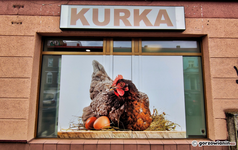 5/5 Nowy bar mleczny 