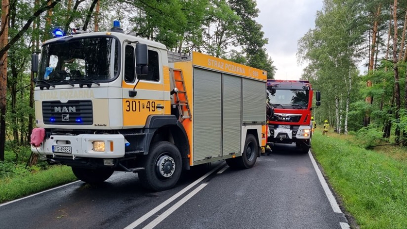 1/4 Dachowanie forda na DW159 koło Dobrojewa