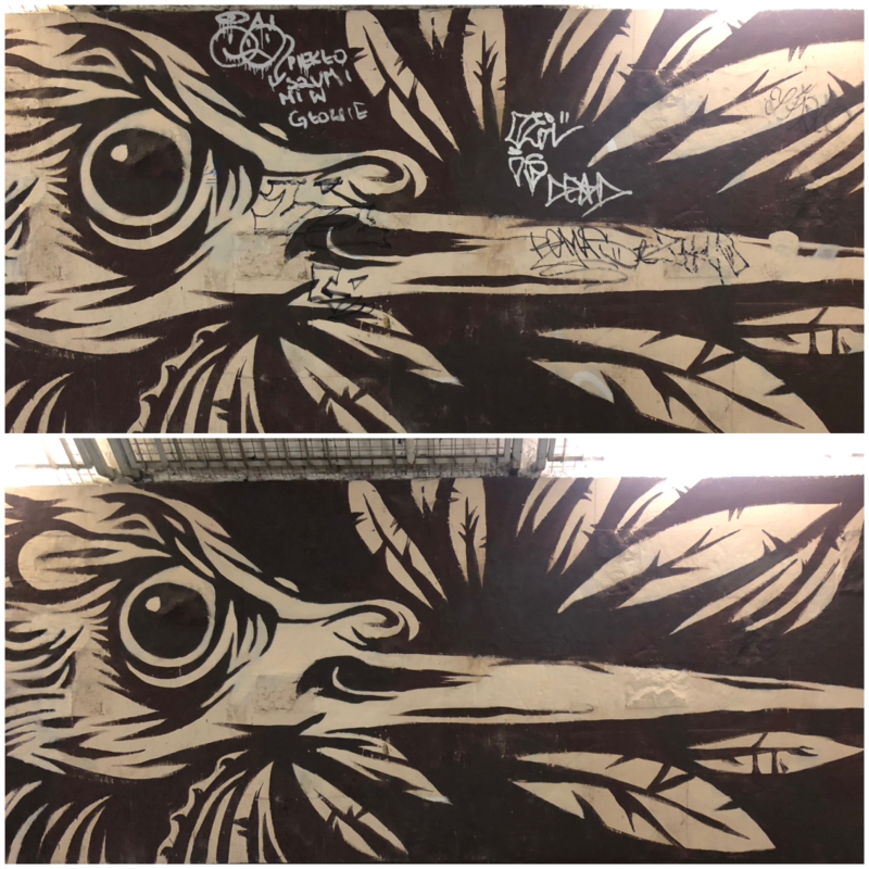 5/13 Usunięte bazgroły z murów przejścia podziemnego w centrum Gorzowa