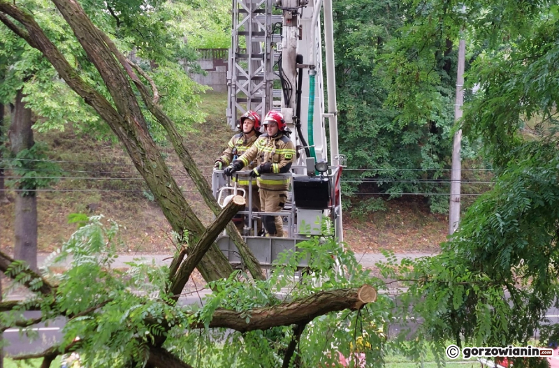 4/6 Akcja straży przy ul. Pomorskiej w Gorzowie