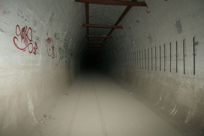 3/14 Nietoperze w Międzyrzeckim Rejonie Umocnionym