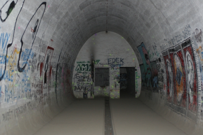 4/14 Nietoperze w Międzyrzeckim Rejonie Umocnionym